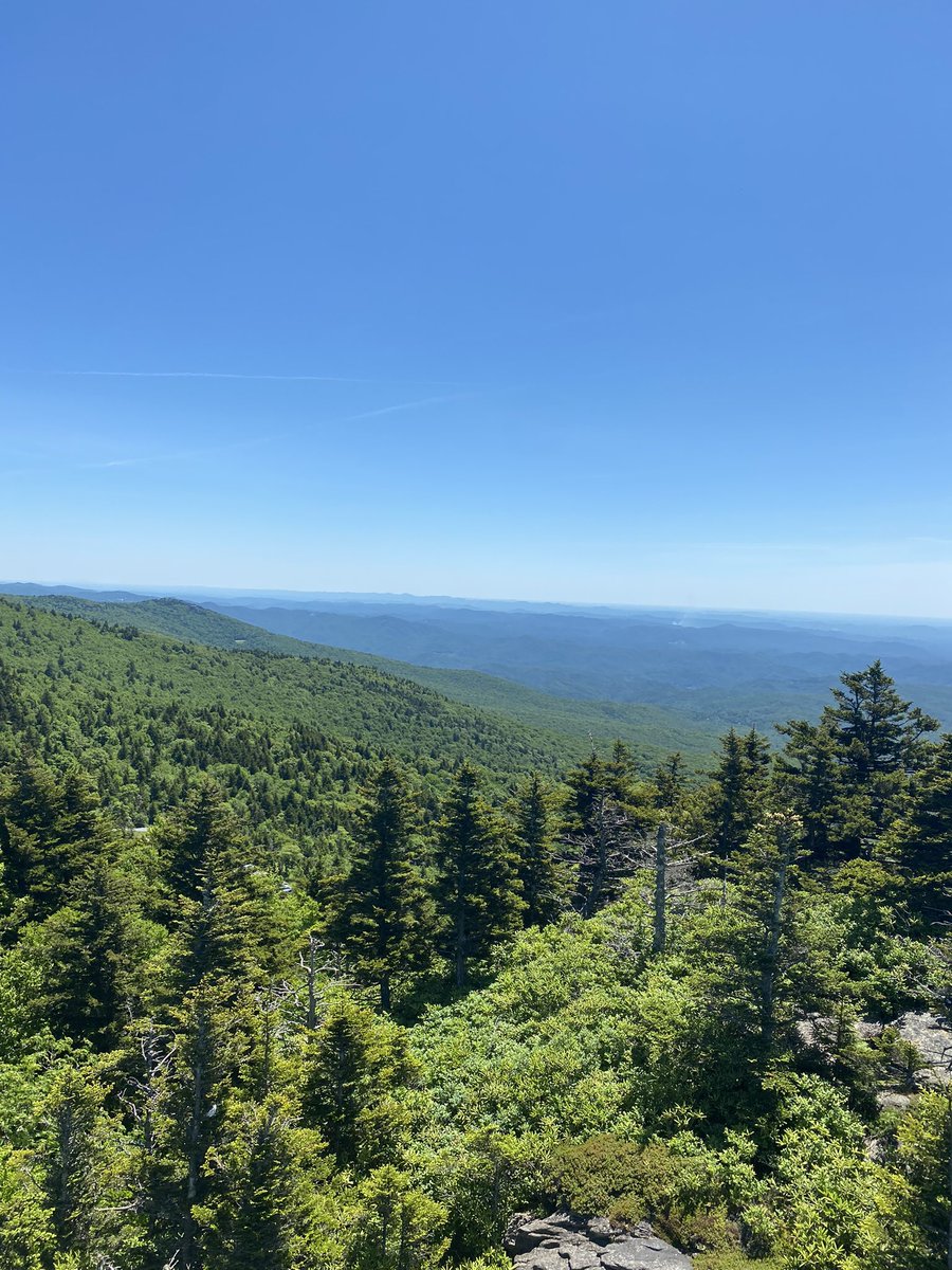 DaveMic49712574's tweet photo. More. #Davecation https://t.co/O9CPB7E1DM