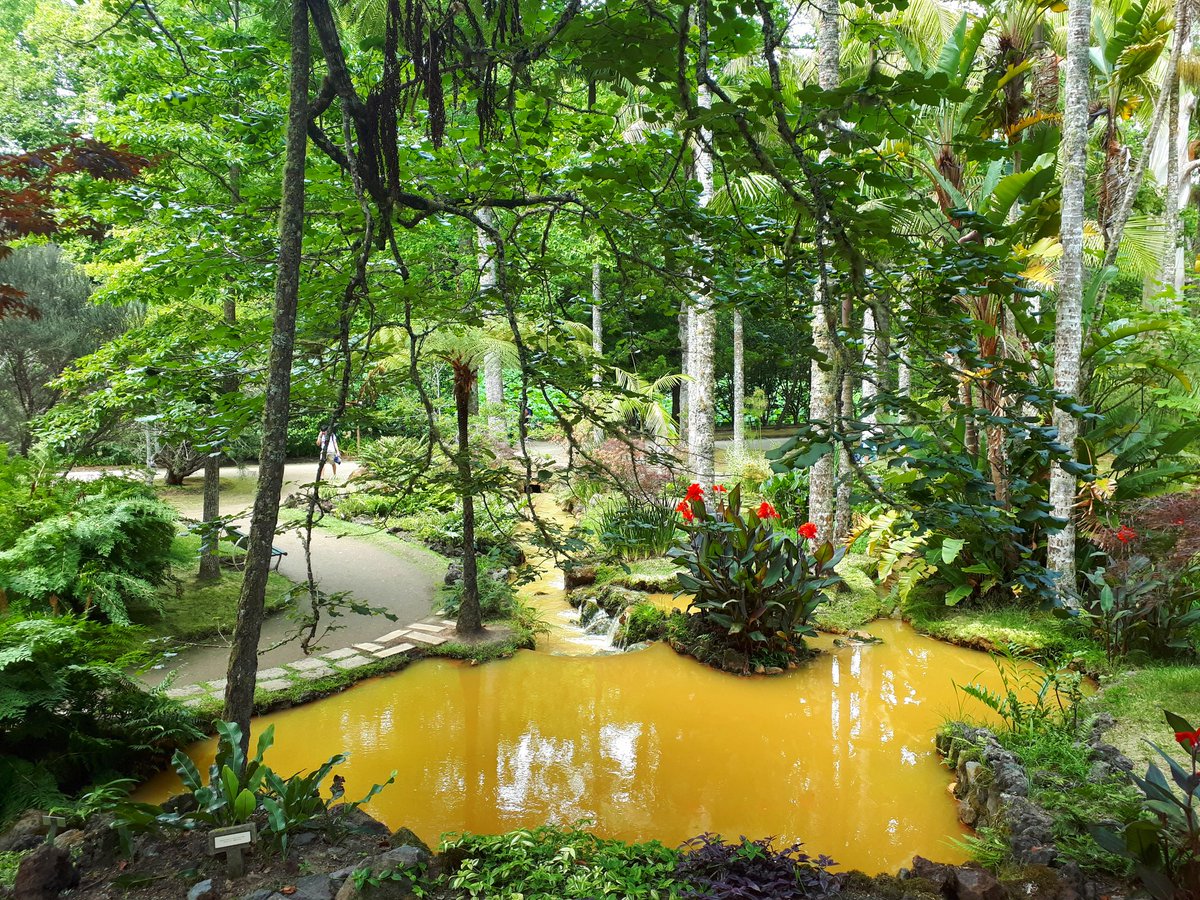 Natural beauty! πβπ²π¦π€π
.
.
.
.
.
.
.
#nature #thermalbath #paradise #photography #beauty #trees #greenplaces #terranostragarden #terranostragardenhotel #furnas #hotel #adventure #adventuring #adventuretravel #discover #discovertheworld #travelling #Travel #beauty #azores https://t.co/XQtiUB3pwQ