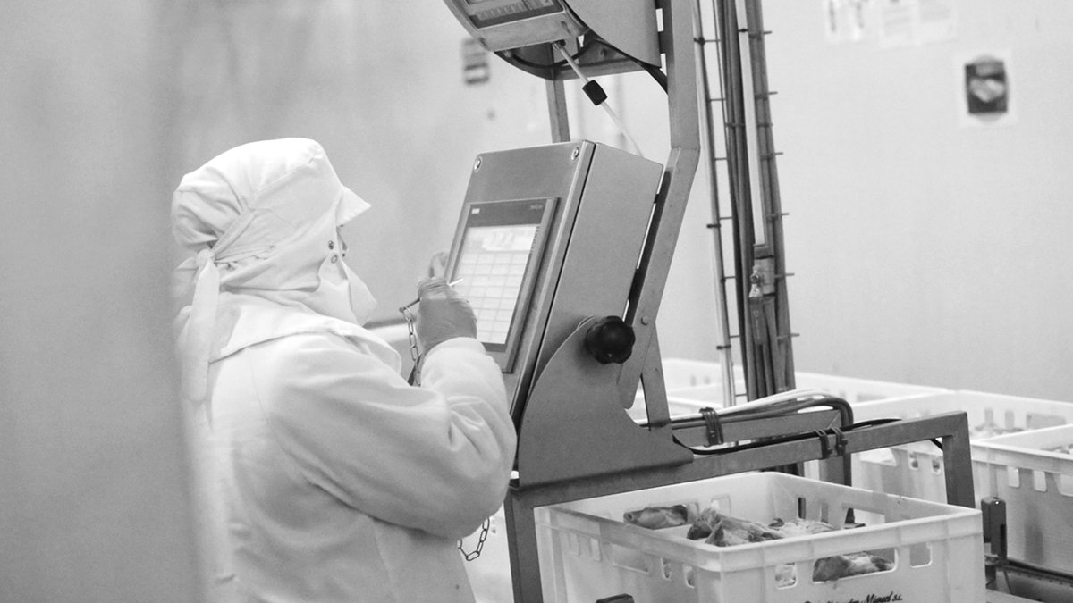 Calidad y Seguridad son los dos pilares vitales para #AlejandroMiguel 👌 Por eso, cuidamos con rigor todos los procesos de nuestros productos, contando con los más altos estándares de seguridad y calidad alimentaria. Descúbrelo 👉 grupoalejandromiguel.es/calidad/