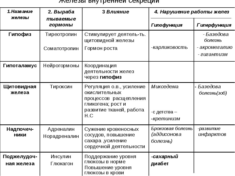 Таблица название железы гормоны