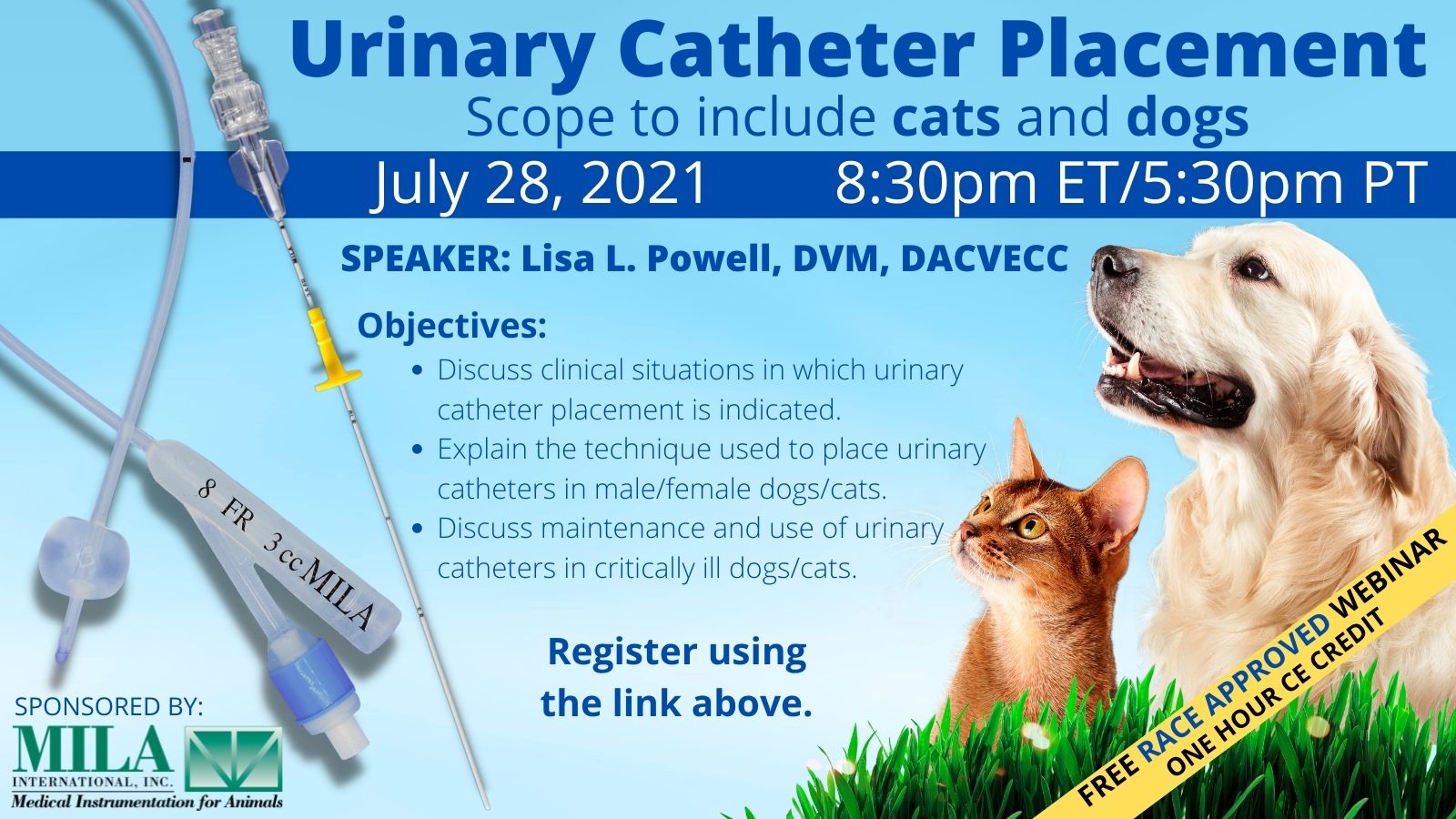 Can You Put A Catheter In A Dog