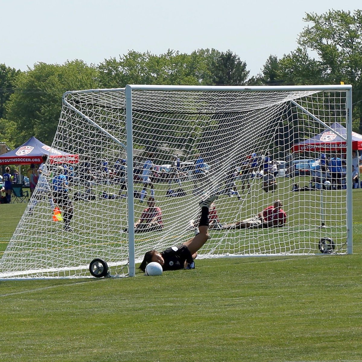 NEB STATE SOCCER tweet media