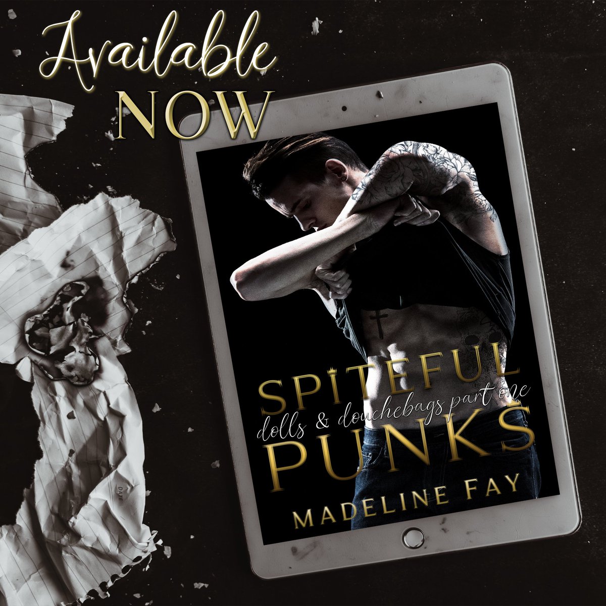 Start the series: books2read.com/spitefulpunks

Dark, bully reverse harem🔥
Trigger warnings, enter with caution!