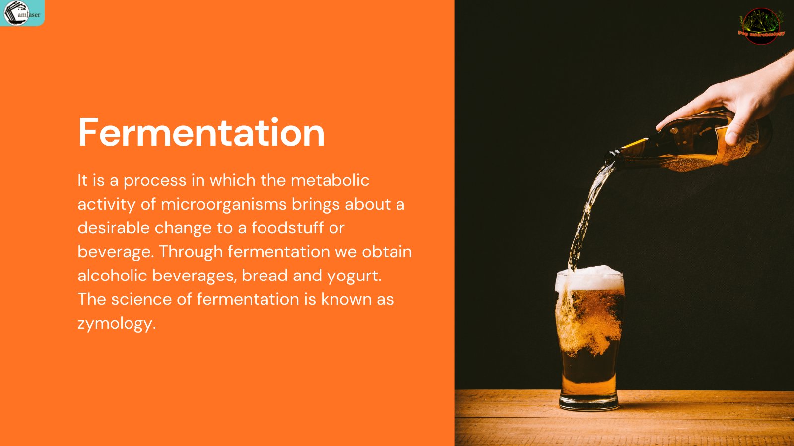 Pop Microbiology on Twitter "Fermentation beer wine grapevine 
