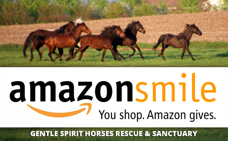 GSHorseRescue's tweet photo. We received $141.90 from Amazon Smile just because YOU shopped at Amazon and put us as your charity. Shop at Amazon and want an easy way to help out that doesn't cost you anything? Go to https://t.co/ds2hCQnqvo and choose us! #AmazonSmile #EasyGiving #ItTakesAVillage https://t.co/0lU88J4sCf
