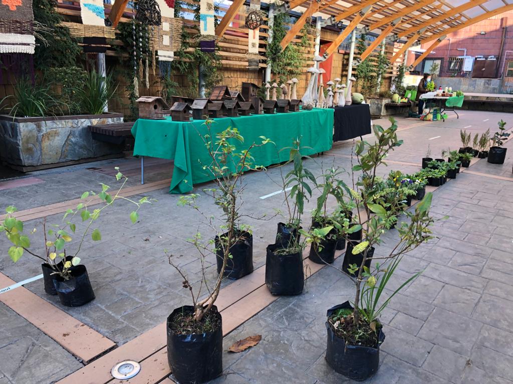 muniptovaras's tweet photo. 👉 En Boulevard Municipal te esperan los mejores productos de pequeños agricultores de #PuertoVaras en la #FeriaRural
📆Todos los jueves y viernes
📍 Boulevard Municipal
🕰 09:00 a 14:00 horas https://t.co/oovzSQjkda