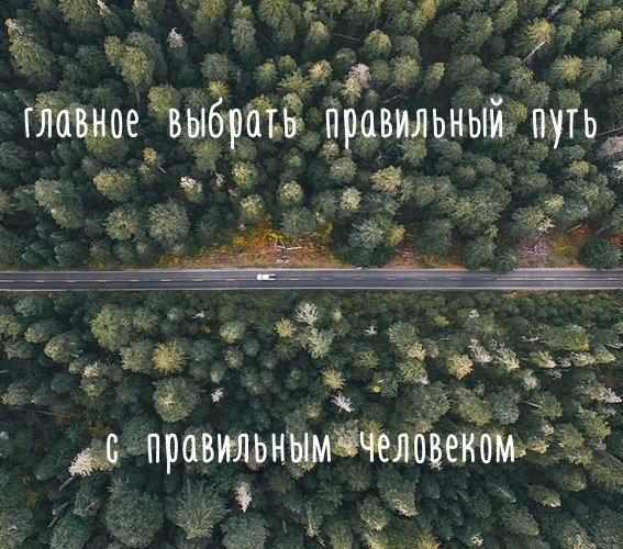 Аня Листик (@listik__la) on Twitter photo 