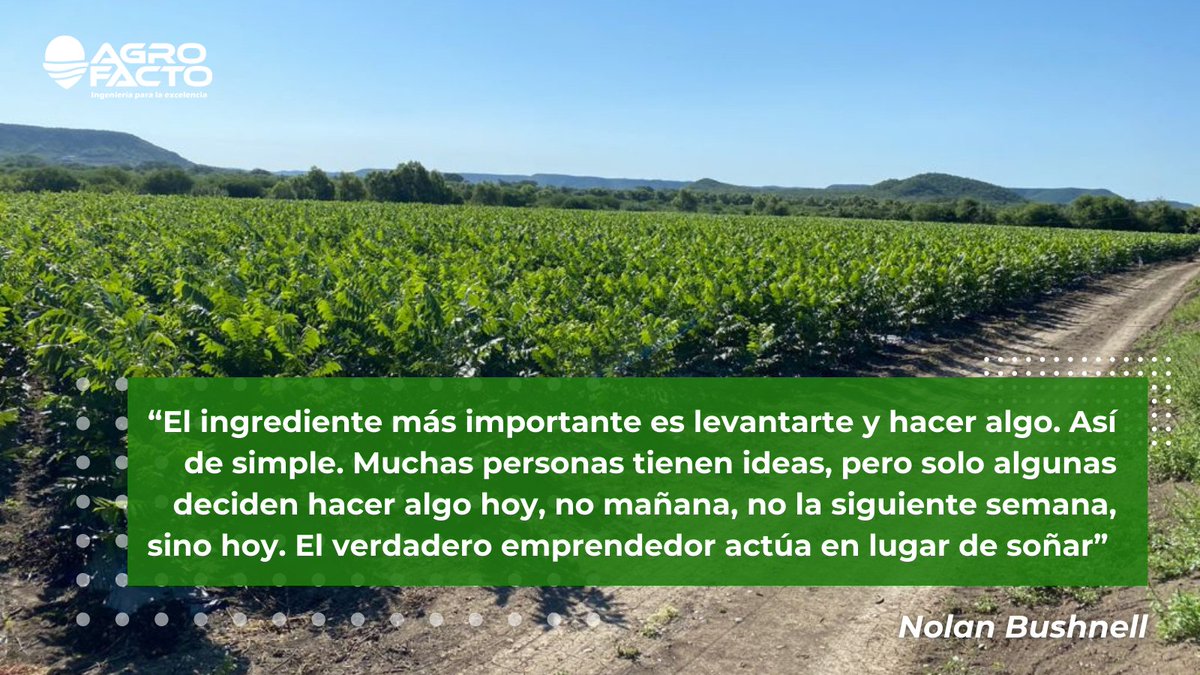 Agrofacto's tweet photo. ¡Excelente jueves para todos! 👨‍🌾 https://t.co/rVnSXYFp7x