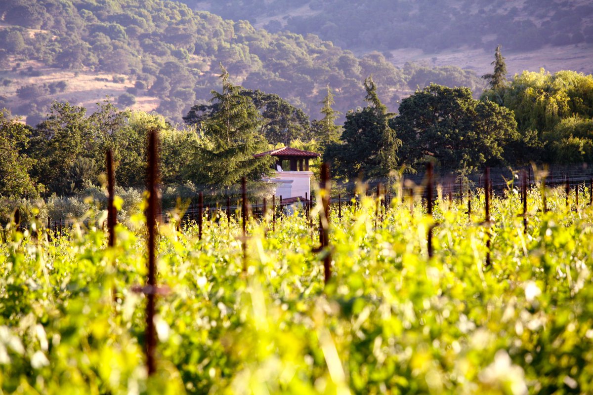 #WinesOfTheWeek | We’re pleased to present new releases from <a href="/RoyEstate/">ROY Estate</a>; Mr. Evans Proprietary Red 2016 and Cabernet Sauvignon 2016. Among the hardest wines to source from the Valley and only ever available fleetingly at release, for more information see bit.ly/3gtudpv