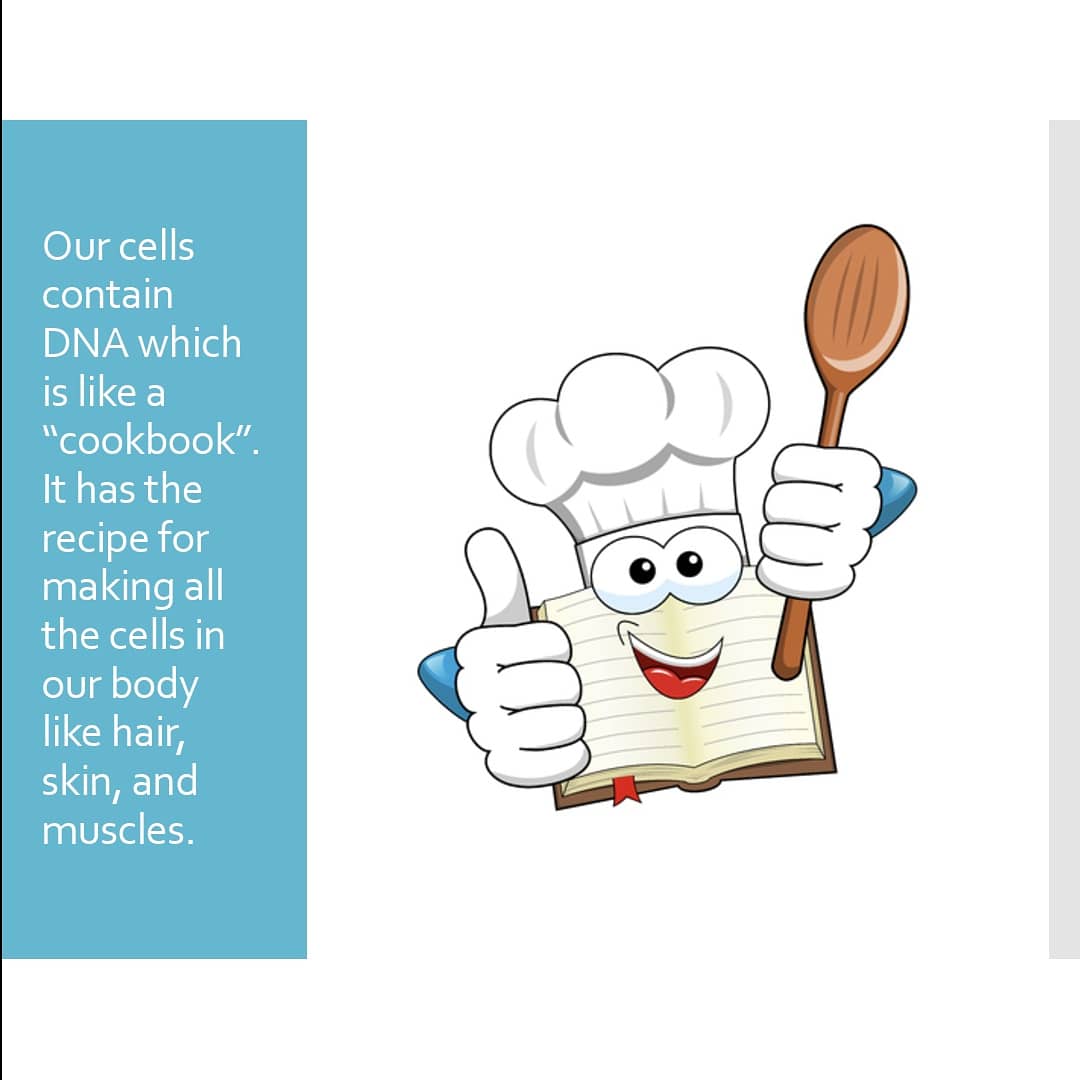 HarborUCLAPeds's tweet photo. ...how the Pfizer &amp; Moderna COVID-19 mRNA vaccines work? 
Check out this awesome graphic series created by PGY1 Dr. Ryan Usui as part of his Advocacy rotation, inspired by the COVID-19 inequities and questions that are coming up with his patients in clinic! #pedsadvocacy #dei https://t.co/uxuSoUNTfy