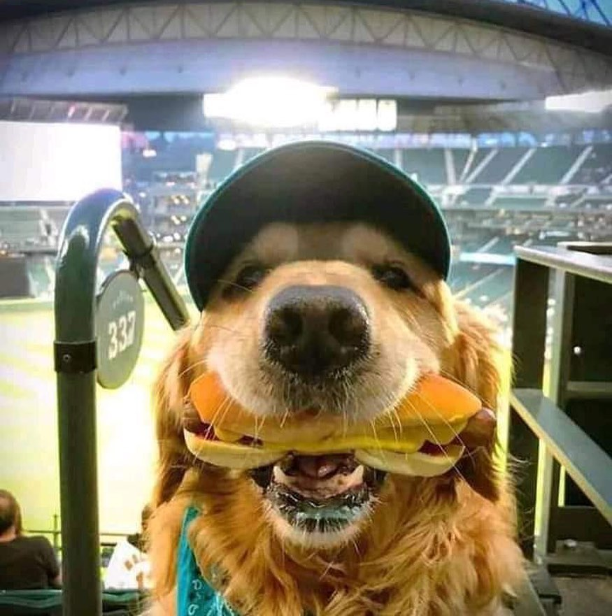 ARTIFAXING (@pedestrian) on Twitter photo 