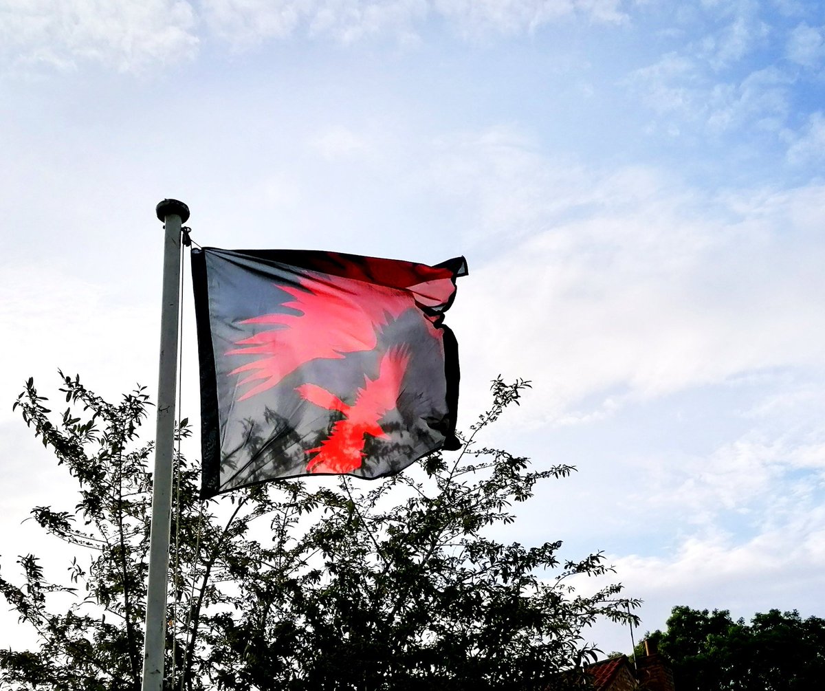Evening all. Ravens Morris shaking some feathers and waking up. It's been a long time. Drop us a line to say hi. Cos we love you all! #Morrisdance
