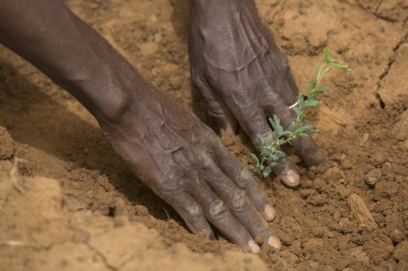 FAONewYork's tweet photo. Did you know that 25% of 🌎 forests are found in #drylands?
Read below to see how drylands help protect #biodiversity, safeguard soil fertility & ensure #FoodSecurity!
➡️ https://t.co/neFFR5ztVO
#DesertificationAndDroughtDay #2021WDCD https://t.co/uPqE726D9P