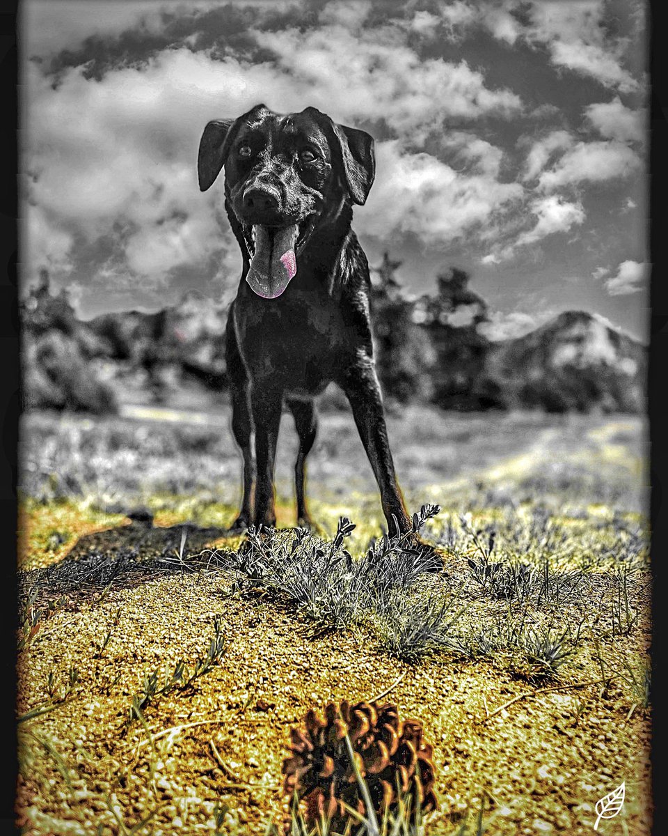 CourthneyJr's tweet image. R&amp;amp;R Vision 

#iphone12promax #elevatevoices #culturalcreator