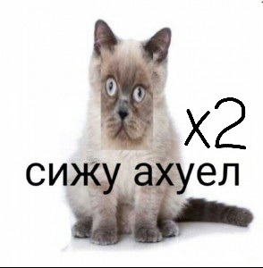 Когда после 90 баллов по литре успокаиваешься, снижаешь планку по русскому и в итоге снова получаешь 90 баллов

#егэ2021