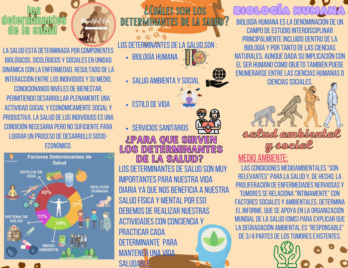 HermosaLife's tweet photo. chicas / chicos , ahora les presento un tríptico muy informativo , que les va ayudar a saber mas sobre los determinantes de la salud de las personas. espero que comprendan ... si tienen alguna duda no tenga medio y escríbanme un comentario 🤠🤠🤠 (1/2) https://t.co/83CIHN0mzG