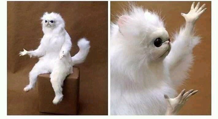 Gua ketika ulang tahun,tapi gak ada satupun yang ucapin be like: