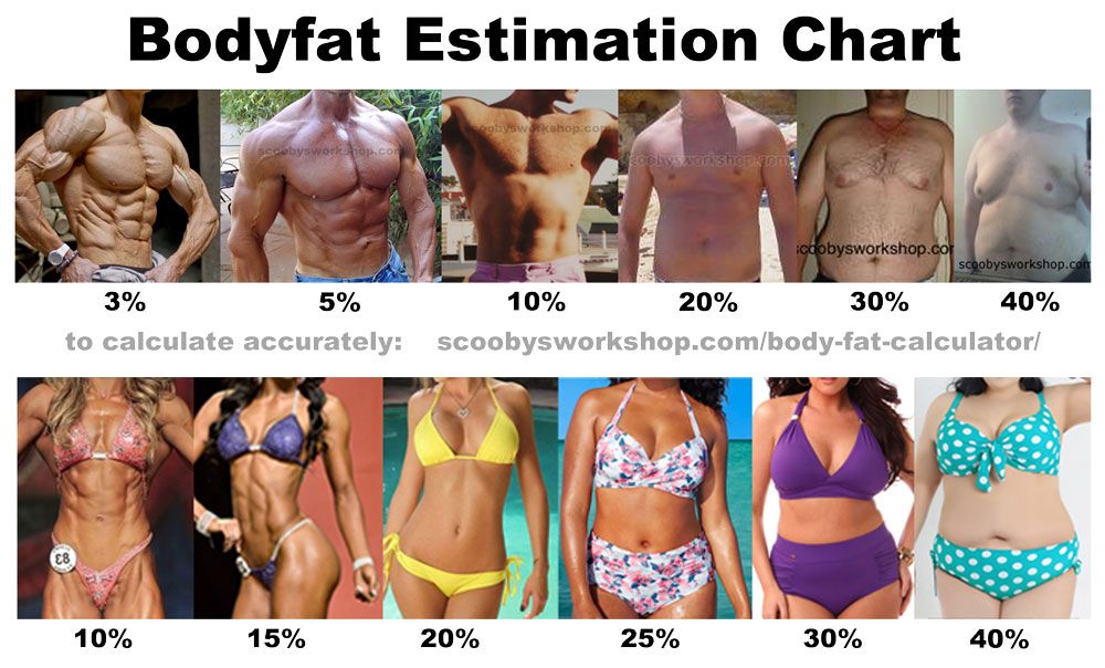 Finding your ideal body fat percentage  Body fat chart, Body fat percentage  chart, Body fat scale