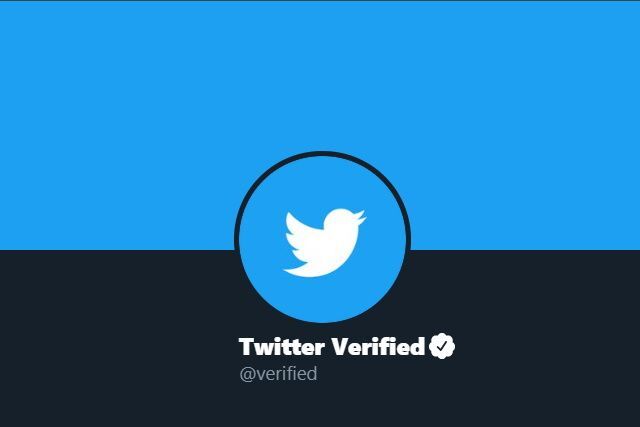 LoginRadius's tweet photo. Why getting a blue tick on #Twitter is important for business of fan page? We have got the answer.
https://t.co/raOePoXr8g
.
#LoginRadius #FuelBlog #marketing #socialmedia https://t.co/keH89BDKC7