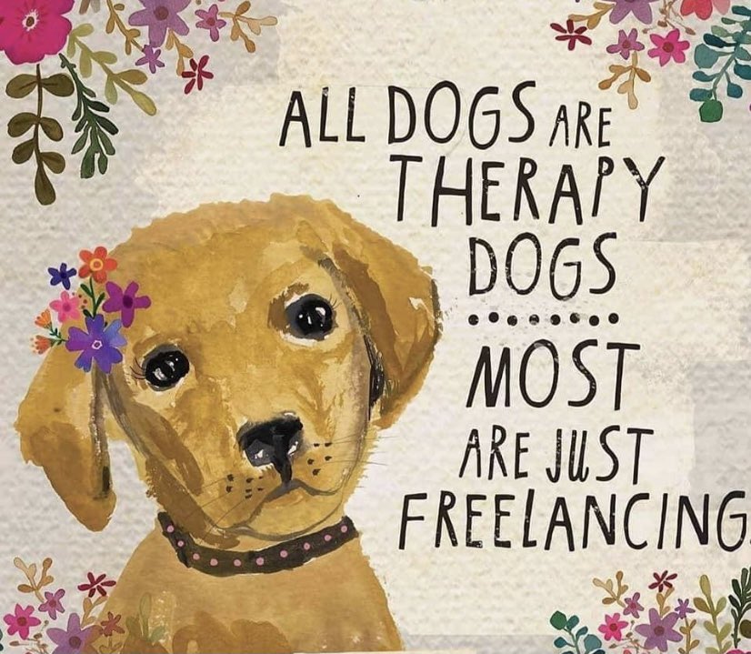 NickTaylorLLB's tweet photo. Such a great sentiment ! https://t.co/llIlpzYlEI