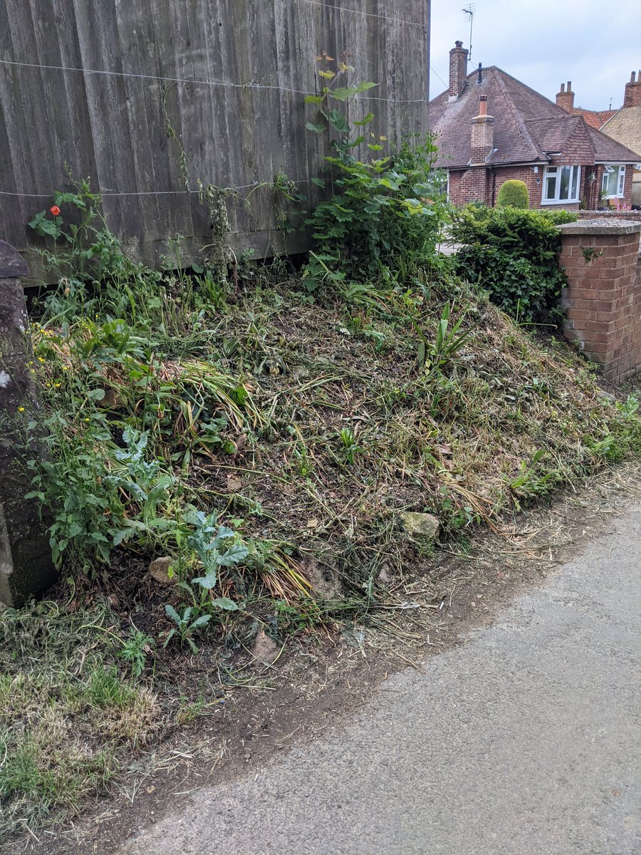 Absolutely devastated. This bank at the front of my property (within my boundary) has been absolutely decimated by contractors <a href="/southkesteven/">South Kesteven District Council SKDC</a> <a href="/LincolnshireCC/">Lincolnshire County Council</a> it was full of hellebores, spring bulbs &amp; wild flowers. Irreparable damage has been done. I am so so so sad