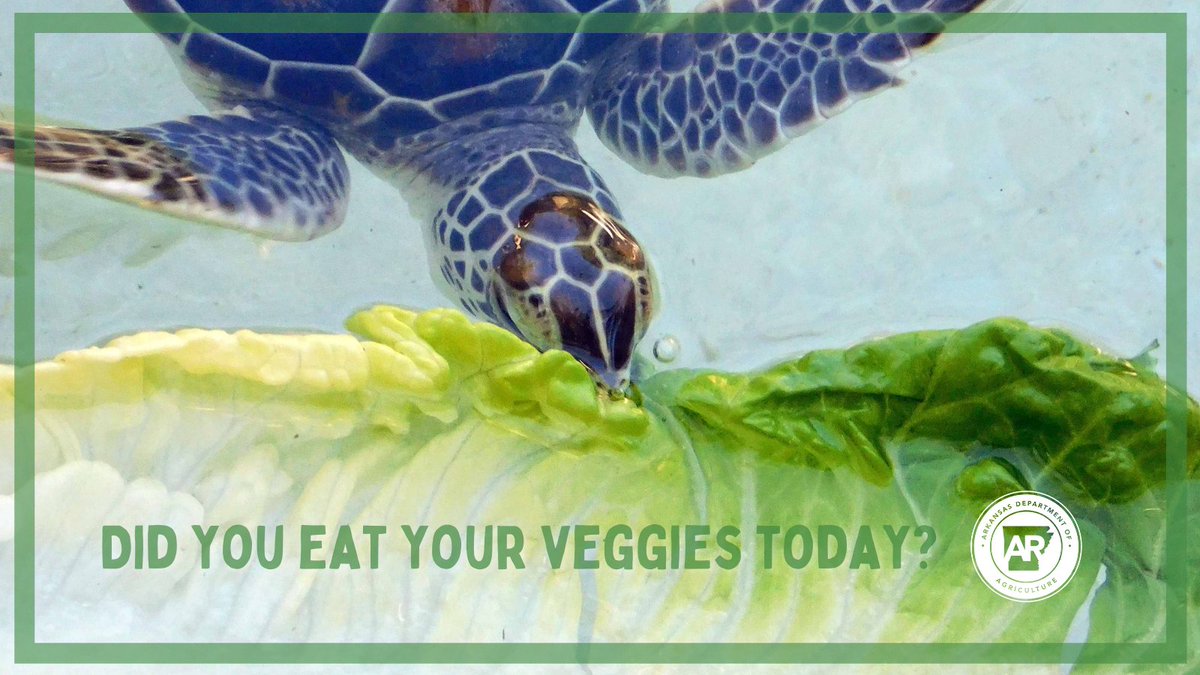Arkansas Department of Agriculture tweet media