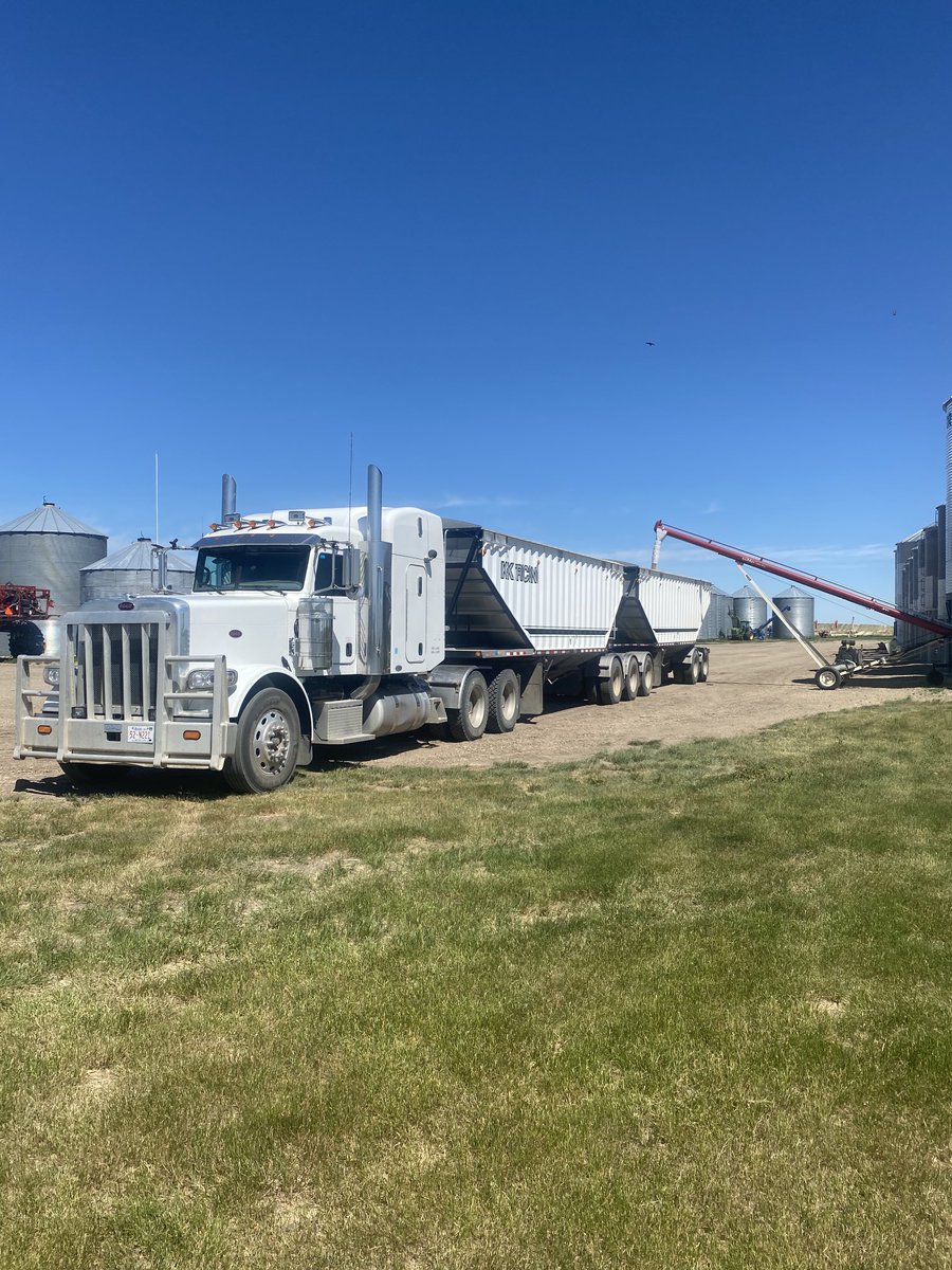 Nice day for hauling Durum