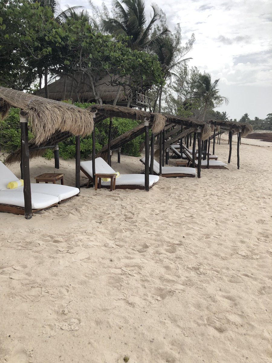 Melissa Barker tweet media