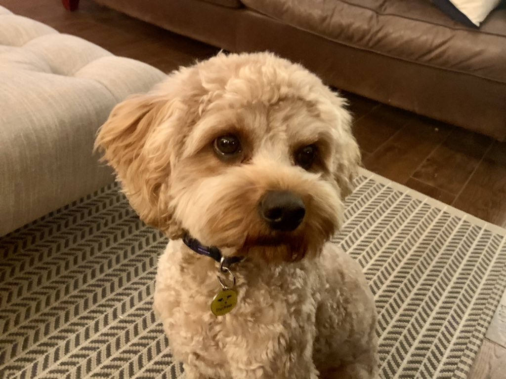 Sue McLean tweet media