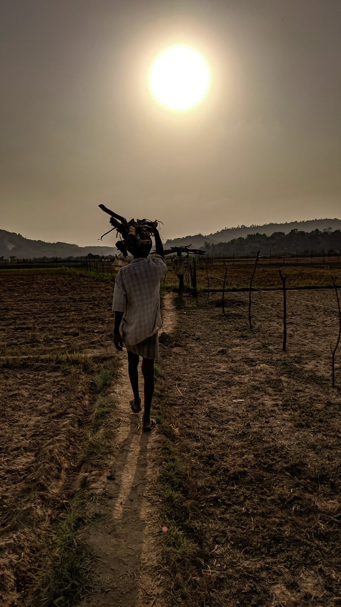 manncyclopedia's tweet image. #FarmersWalk #farmersindia #silhouette