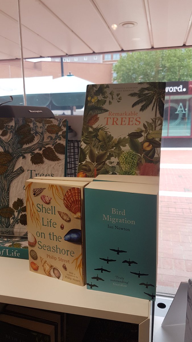 KewEditor's tweet photo. Selfish proud highlight of visit to @britishlibrary shop today - seeing own book in nice display. #RemarkableTrees ππ³π² https://t.co/JXUsmdsFxI
