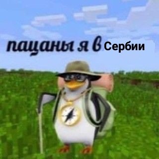все после сальто Шерлока с крыши: нам будет его не хватать, надеемся, он сейчас в лучшем месте...

Шерлок:

#sherlock #ночьшерлока