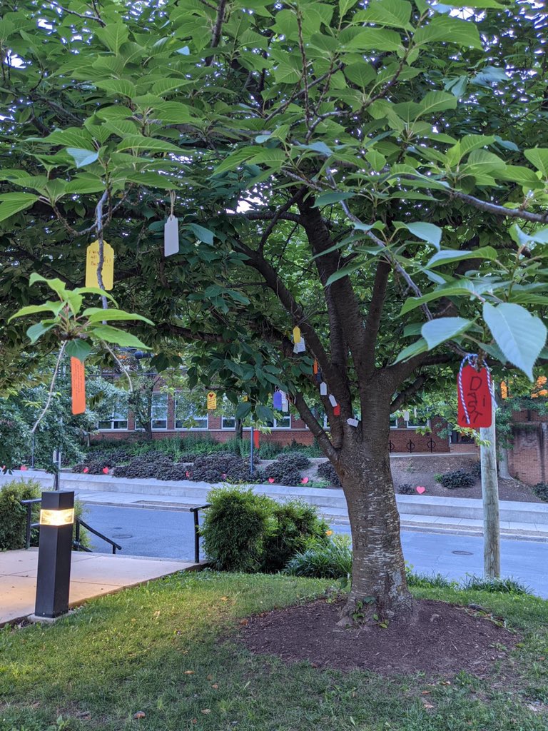 Thanks to the <a href="/hearstes/">Hearst Elementary</a> PTA for creating the wish trees on our campus!
