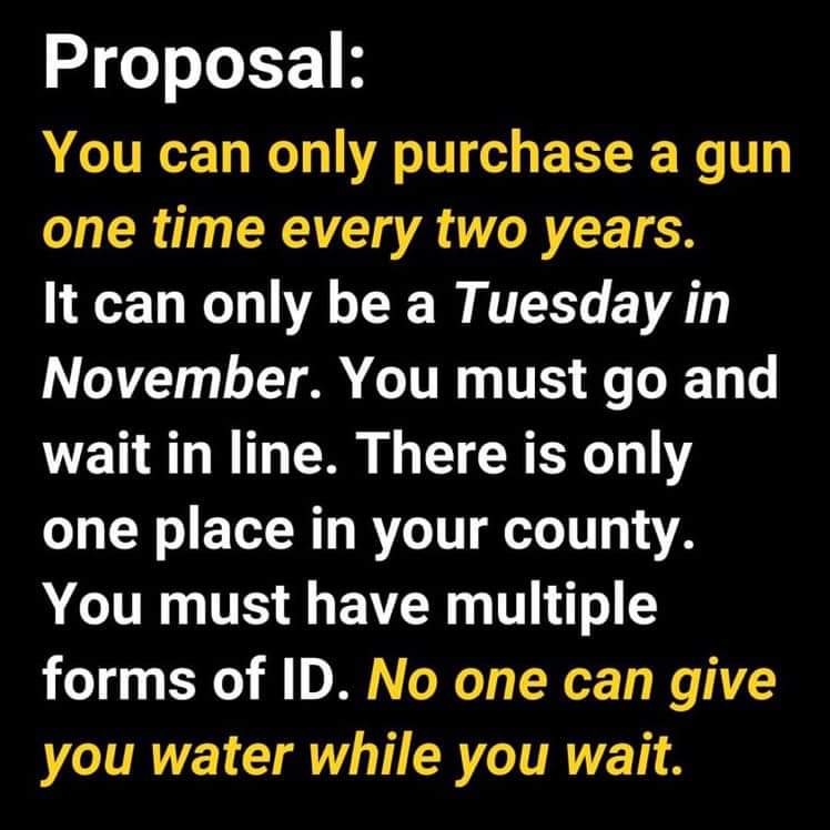 A worthy constitutional proposal for gun safety.