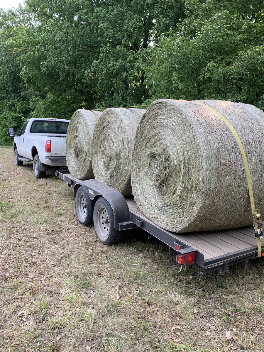 Bry_Davis_'s tweet photo. 14 Round Bales added to the line. 
#Bale #Hay #AgTwitter https://t.co/SRJTE9o2ho