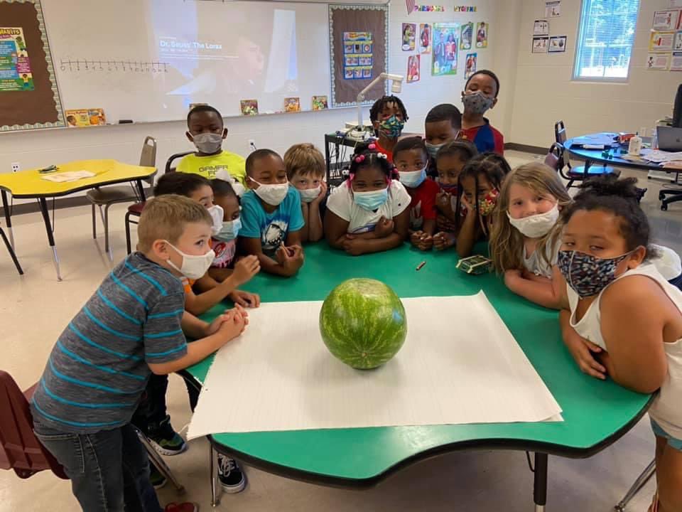 Brd702's tweet image. Kindergarten learned about fruit and seeds in summer learning academy. Our treat this week was watermelon (seedless lol-can&apos;t win them all) and strawberries. #summerlearningloss @Leigh_Anne0712 @BCESMustangCity @Supt_Hamlett @FCPSchoolsTN