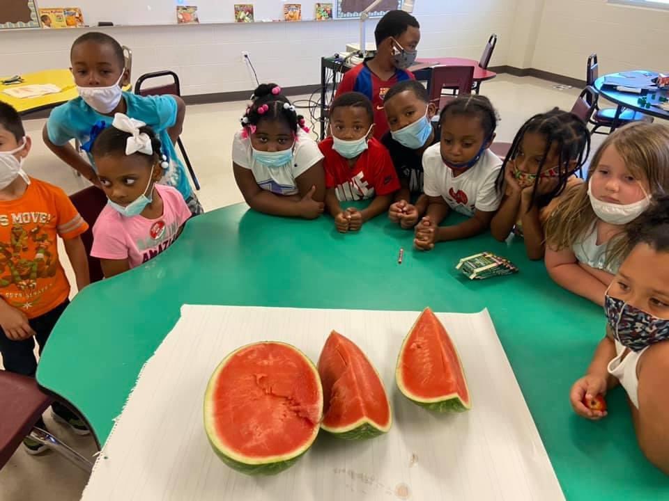 Brd702's tweet image. Kindergarten learned about fruit and seeds in summer learning academy. Our treat this week was watermelon (seedless lol-can&apos;t win them all) and strawberries. #summerlearningloss @Leigh_Anne0712 @BCESMustangCity @Supt_Hamlett @FCPSchoolsTN