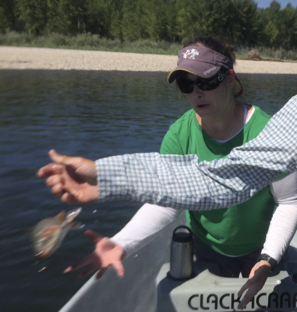 FrogAndGiraffe's tweet photo. @hwinkler4real Just realized I have a picture just like your profile pic! Apparently I thought I could catch it twice. Enjoy your day on the water! https://t.co/5PgKPXU4hZ