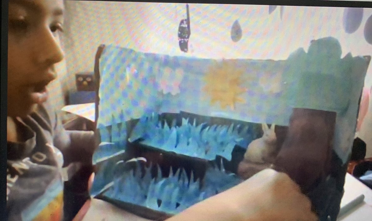NancyLynneAnde1's tweet photo. More amazing dioramas! This was a great family project to do together!@StMartinOCSB  @ocsbVirtual https://t.co/IkoR8DS4i0