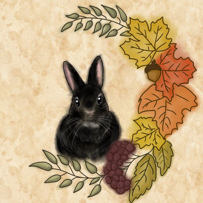 うさぴょんのtwitterイラスト検索結果 古い順
