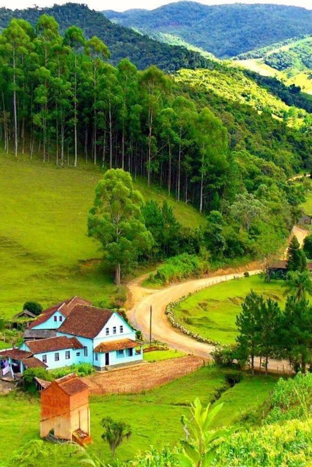 🏡 💚🏡🍃
