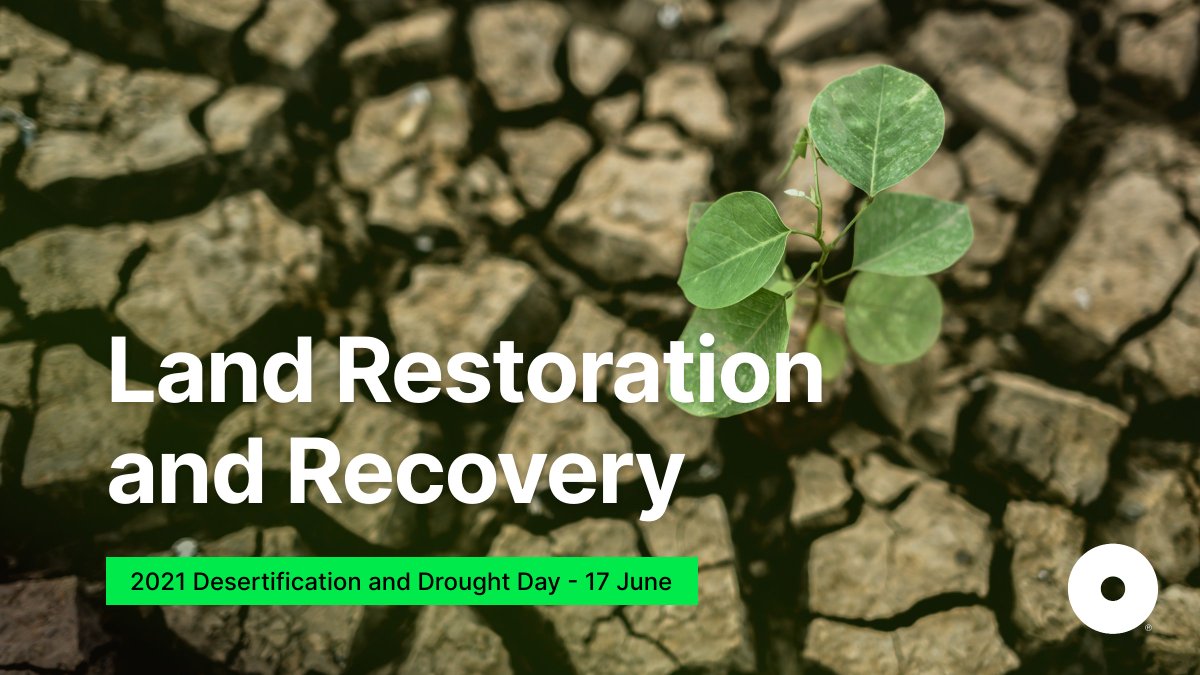 Can a dry, rootless tree still be a tree? 🌳 As humankind, we still need to understand and value the unique and limited natural capital resources we have. Let's act with empathy for the Earth to avoid barren and unproductive soils. #InternationalDayAgainstDesertification