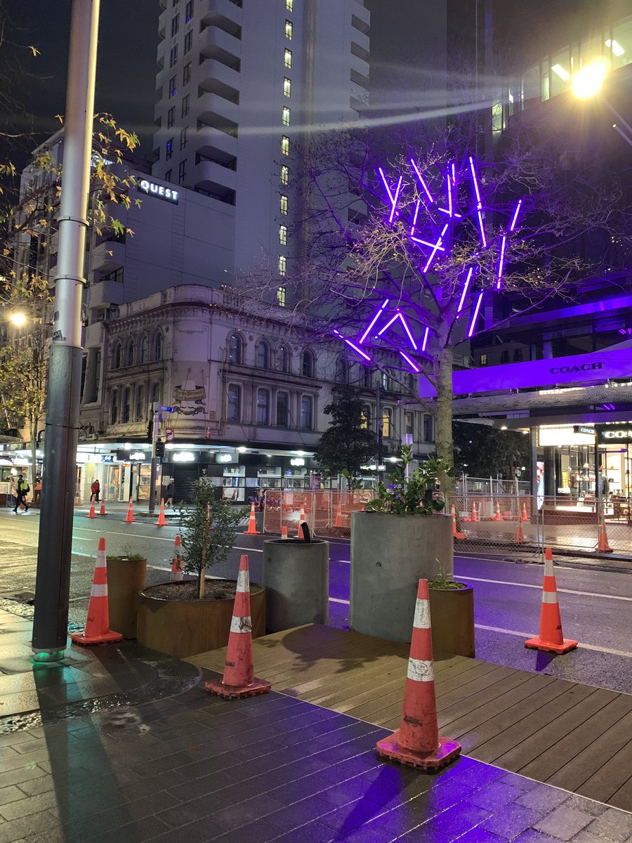 Natatat06's tweet photo. More trees and plants going in on Queen Street this morning 😍 #streetrees #streetsforpeople #waihorotiu 🌳 🌲 🌆 https://t.co/fmv1Wk9E3o
