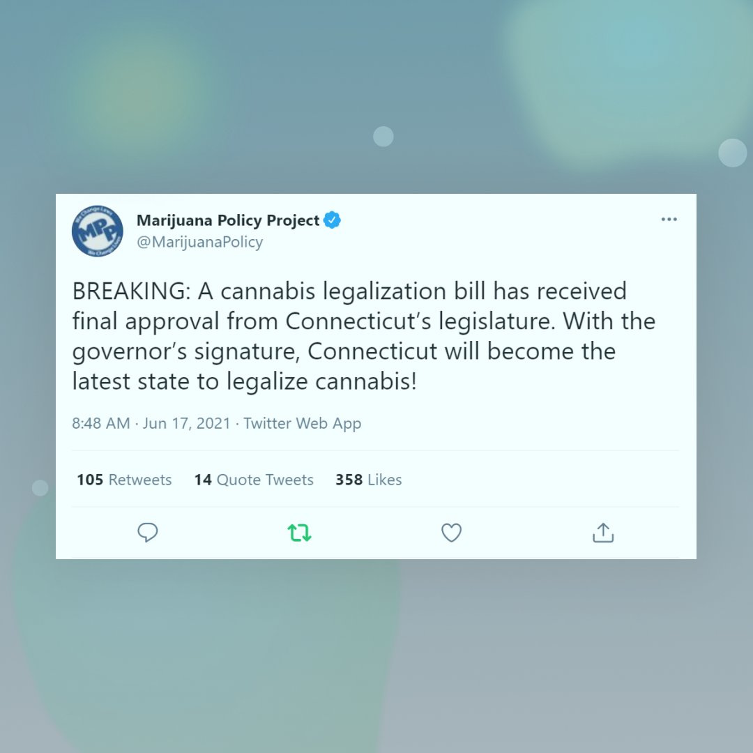 👏BREAKING NEWS!👏 Connecticut has passed a bill to legalize cannabis for adult use! This landmark legislation makes the state the 19th in the nation, plus DC, to legalize recreational cannabis.

#cannabisnews #connecticut #connecticutcannabs #cannabistweets #mpp #arcview