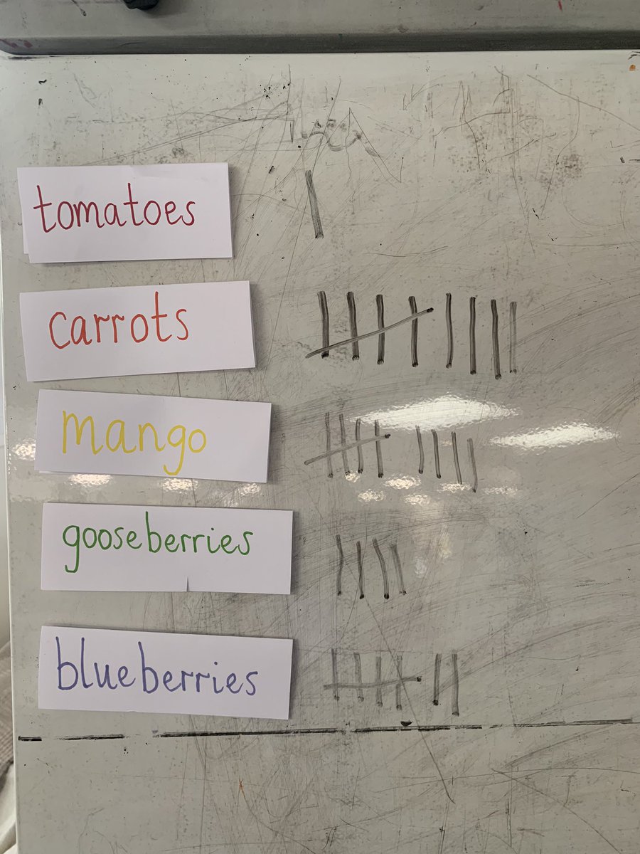 P1b tasted the rainbow this afternoon! We all tried gooseberries for the first time 🤗 O said they’re ‘fizzy’ &amp; T said they are ‘sour with a little bit of sweet!’   🥭 &amp; 🥕 were our favourites! 🌈 Q said ‘ I’m going to try more at home now!’ <a href="/NewtongrangePS/">NewtongrangePS</a> <a href="/MissNLBrown/">Nicole Brown</a>