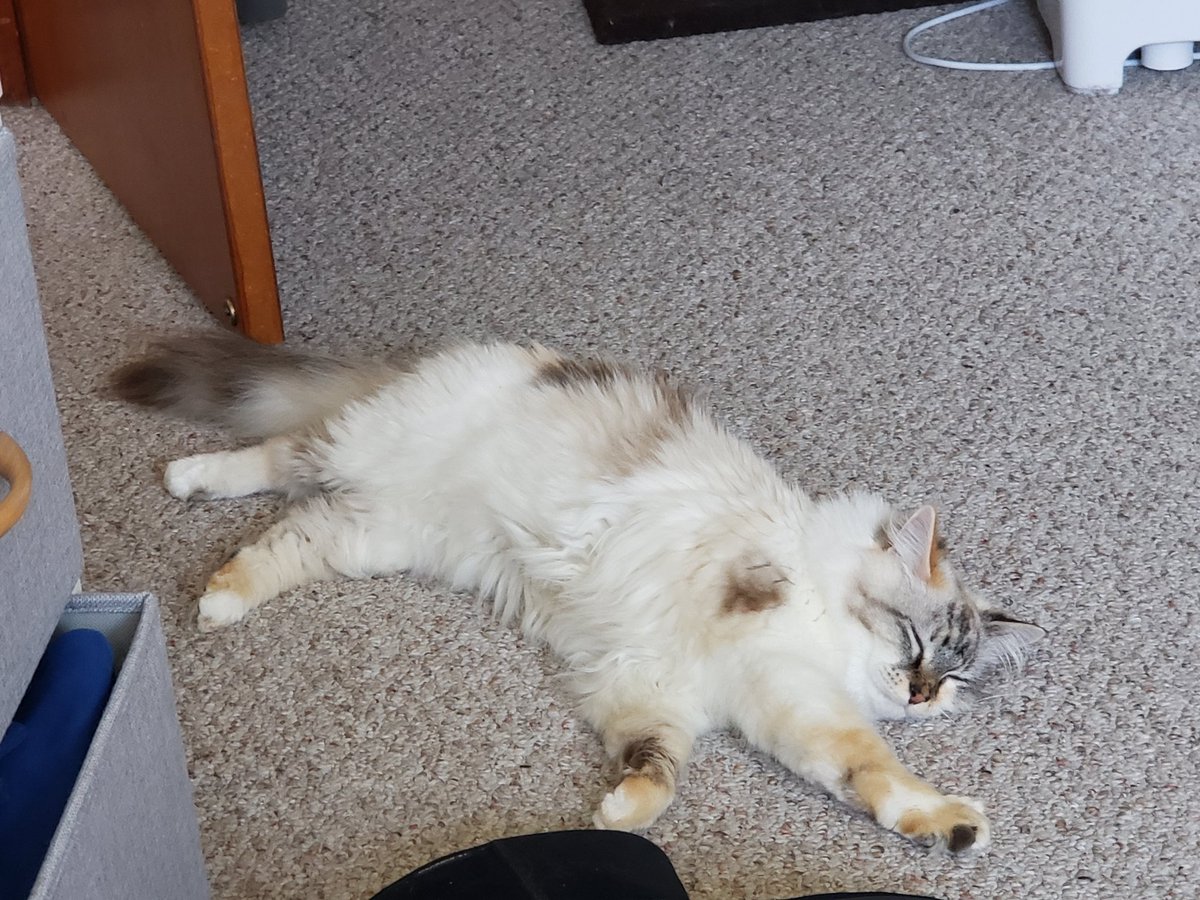 aabicus's tweet image. When you're trying to reach the bed but you're too zzz