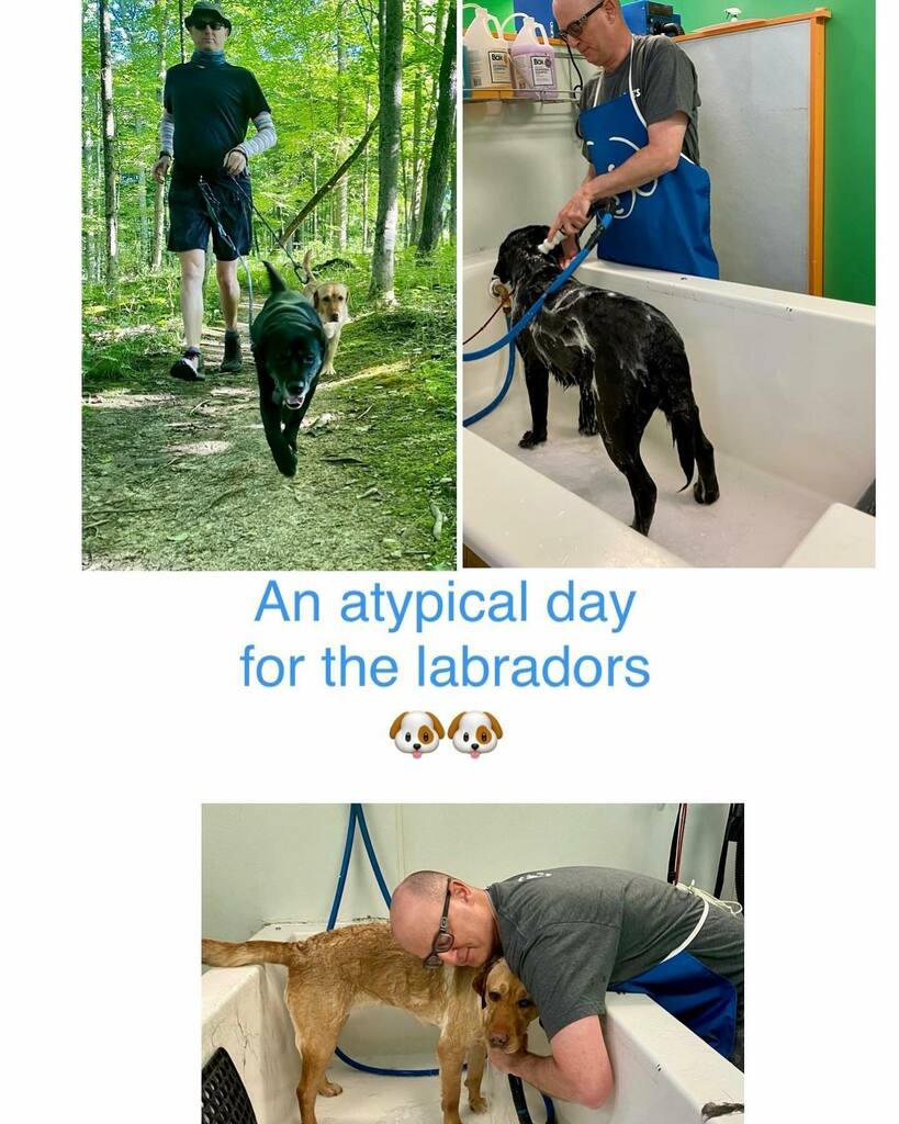 reutebh's tweet photo. An atypical day for the labradors - โWalkies as normalโ, but then it was bathtime at @woodysdogwash - thankfully is labradors that counts as a good time๐๐ถ๐ถ #MovementIsALifestyle #YellowLabrador #BlackLabrador #CleanDogs #WetDogs #DogBath #DogsLoveWatโฆ https://t.co/HOjVVAmMGO https://t.co/joo9fIjupA