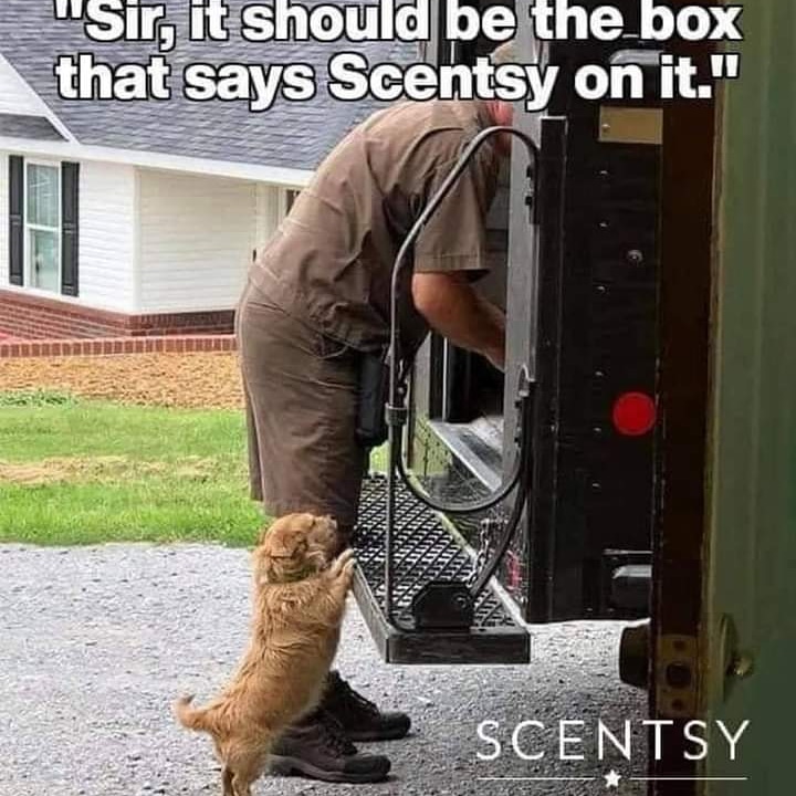 Scentsy delivery days are the best 💜
#scentsy #deliveryday #scentsyaddict #scentsylove