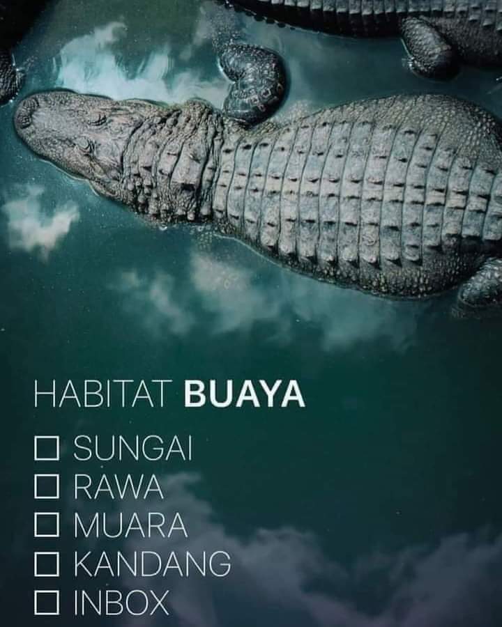 IrvanovskyF's tweet photo. Hati² yg suka dapet inbox https://t.co/uHQYolT3Pt
