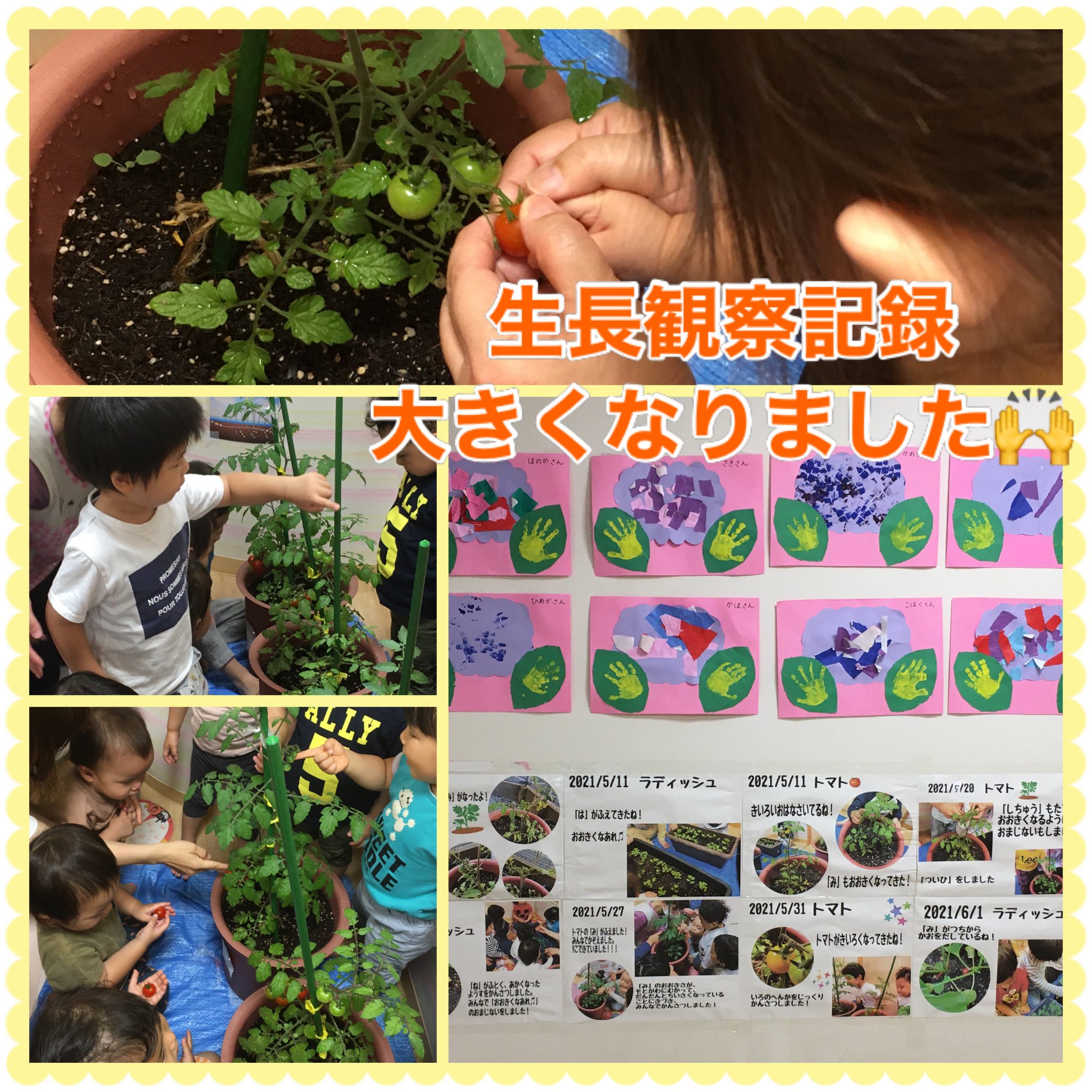 亀有サニーキッズ保育園 Di Twitter 毎朝の栽培活動では 水やりと栽培物が大きく育って行く様子を見たり触ったりしながら全園児で取り組みを楽しんでいます 生長記録も子どもたちにわかりやすいように掲示しています カタツムリくんにもお水をあげています 子ども 亀有サニーキッズ保育園 Di Twitter 毎朝の栽培活動では 水やりと栽培物が大きく育って行く様子を見たり触ったりしながら全園児で取り組みを楽しんでいます 生長記録も子どもたちにわかりやすいように掲示しています カタツムリくんにもお水をあげています 子ども